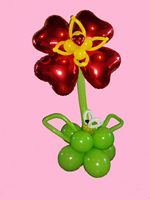passion flower balloons