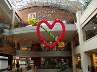 Victoria Square Valentine